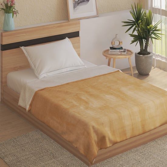 Cloud Cozy Sherpa Single Blanket