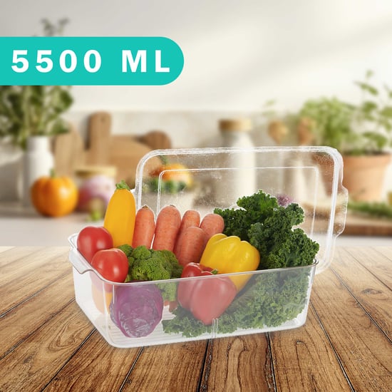 STEELO So Fresh PET Storage Organiser - 5.5L