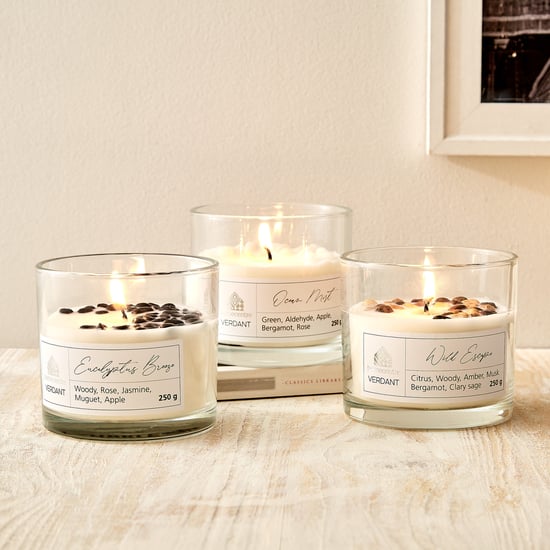 Verdant Ocean Mist Scented Jar Candle