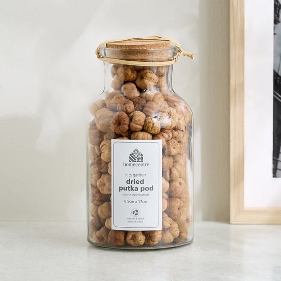 Lets Garden Hues Dried Putka Pod in Glass Jar