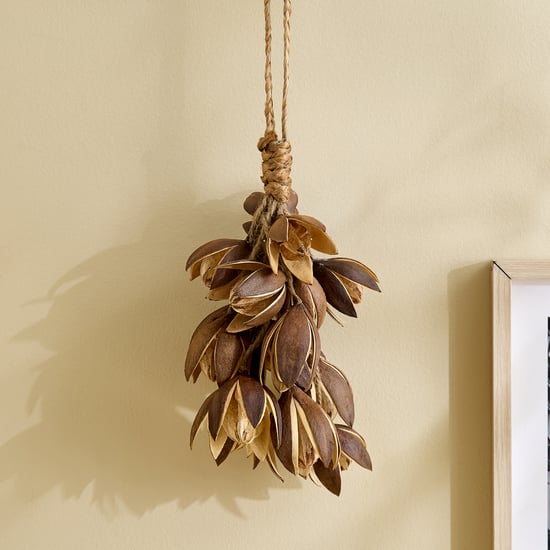 Lets Garden Nest Dried Lily Hanging Plant