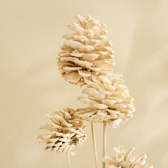 Lets Garden Nest Set of 4 Artificial Pine Fruit Stem Sticks - 54cm