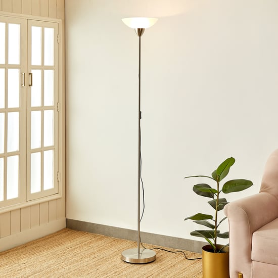 Fluorescence Glint Metal Floor Lamp