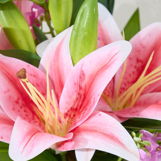 Lets Garden Hedge Artificial Lily Flowers in Ceramic Pot