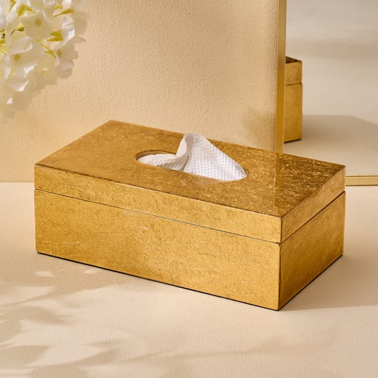 Stellar Celestial Enzo Wooden Tissue Box - 24x13x8.5cm