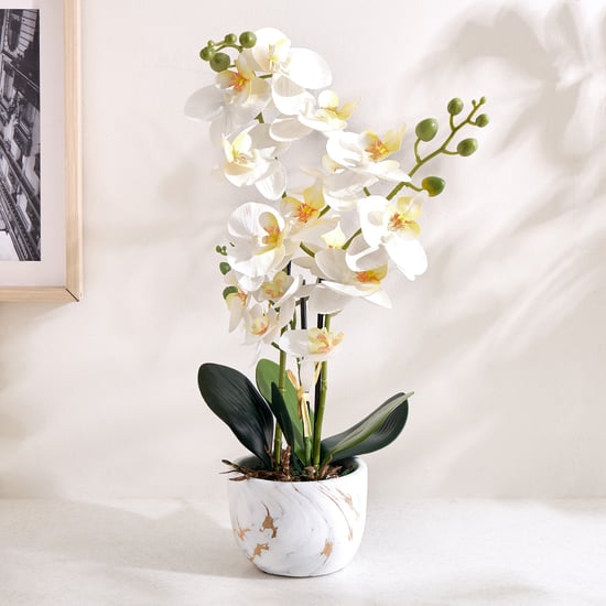 Gloria Artificial Orchids in Ceramic Pot