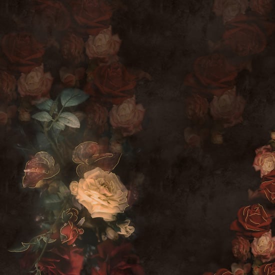 SPACES Elegance Noir Cotton Printed Double Quilt