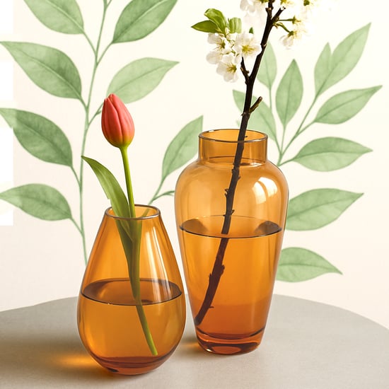 HOMESAKE Set of 2 Glass Vases
