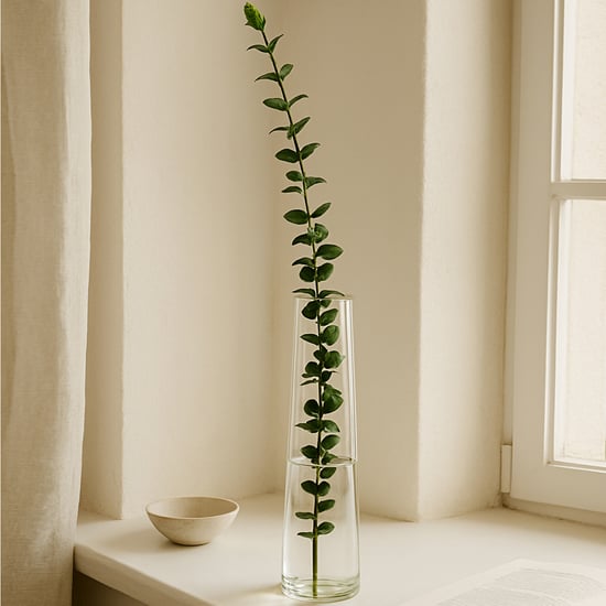 HOMESAKE Glass Vase