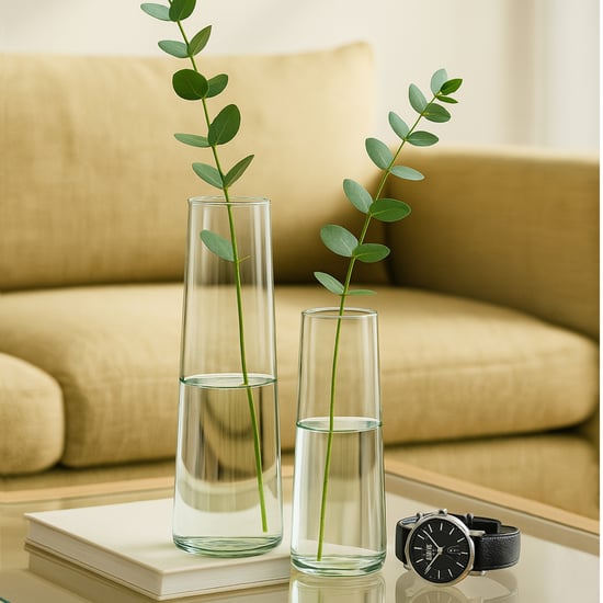 HOMESAKE Set of 2 Glass Vases