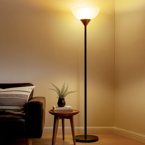 HOMESAKE Sky Dome Metal Floor Lamp