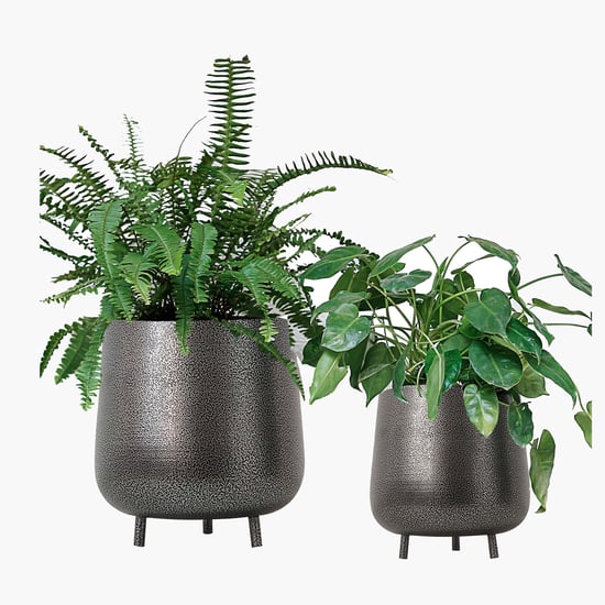 HOMESAKE Set of 2 Metal Planters