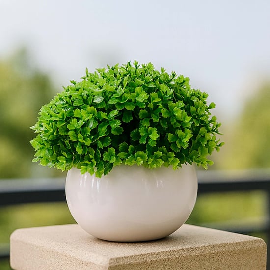 HOMESAKE Set of 4 Artificial Boxwood Plants - 12.7cm