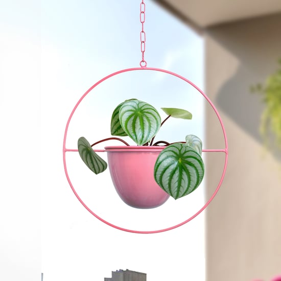 HOMESAKE Metal Hanging Planter