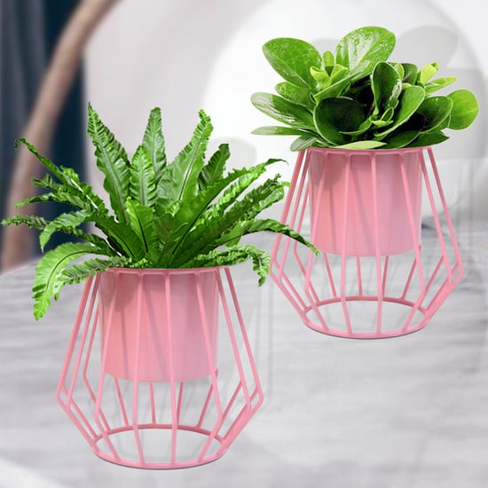 HOMESAKE Set of 2 Metal Planters