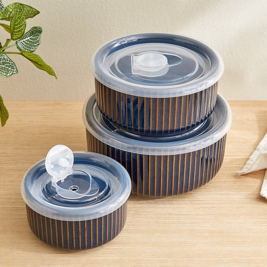 Caraway Somber Set of 3 Stoneware Striped Bowls with Vented Lid