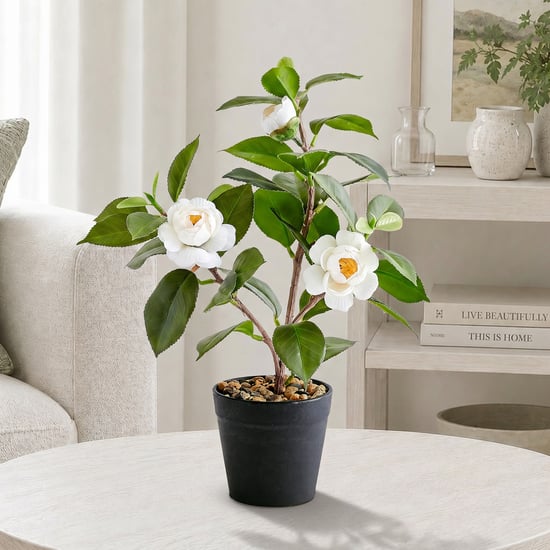 Corsica Gloria Artificial Camellia Plant in Pot