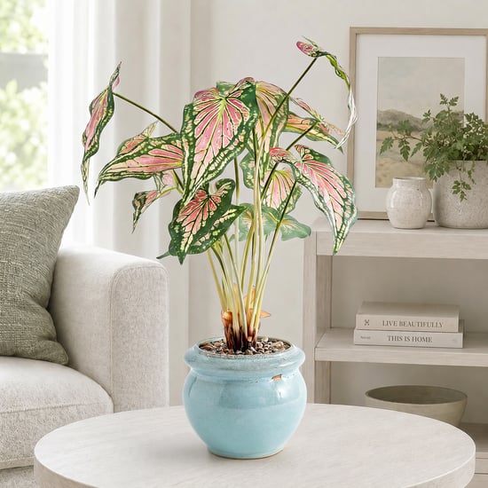 Corsica Gloria Artificial Caladium Plant in Ceramic Pot