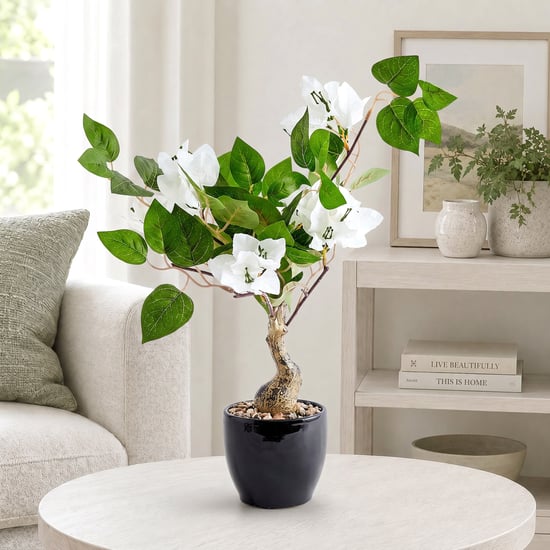 Corsica Gloria Artificial Bougainvillea Bonsai in Ceramic Pot