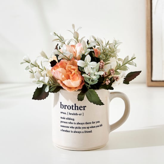 Bandhan Terra Succulents Flowers in Ceramic Pot
