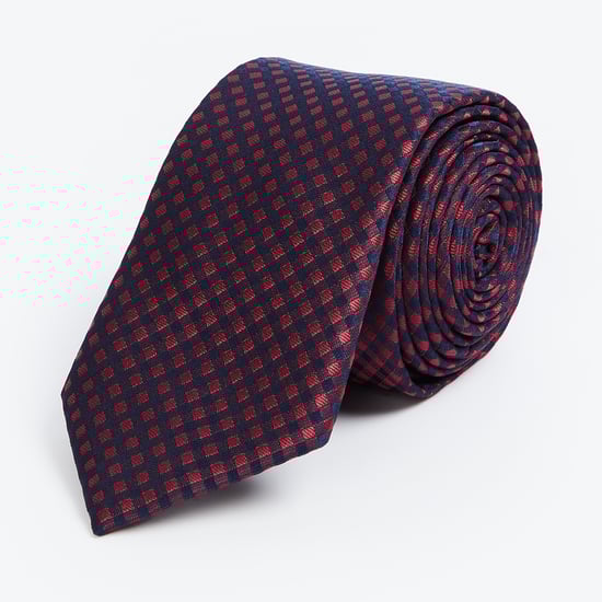 PARK AVENUE Men Checked Slim Formal Tie