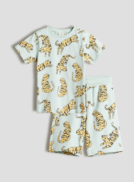 Boys Printed T-shirt and Shorts Set