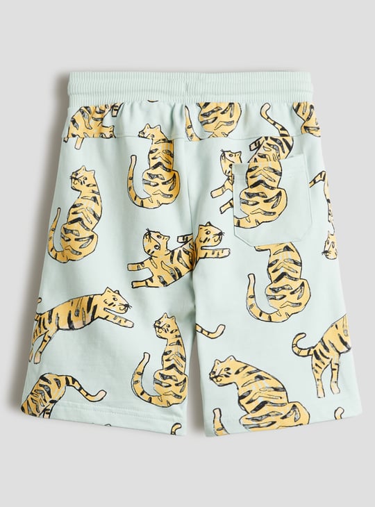 Boys Printed T-shirt and Shorts Set