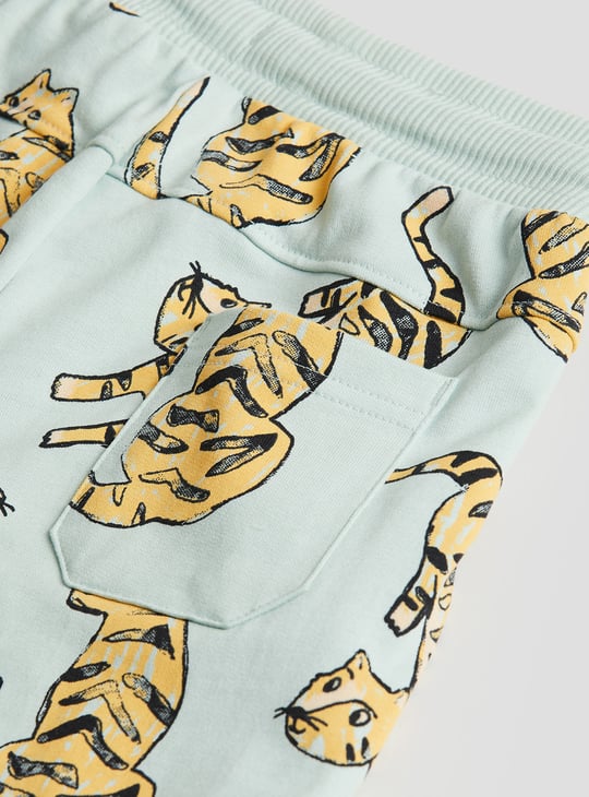 Boys Printed T-shirt and Shorts Set