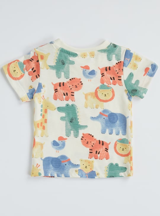 Juniors Assorted T-shirt - Pack of 3