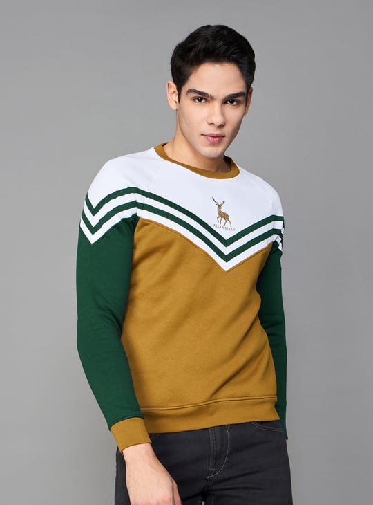 ALLEN SOLLY Colourblock Sweatshirt Brown