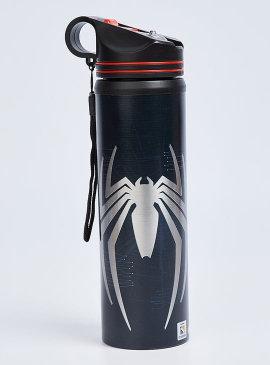 Kids Spider-Man Sipper Water Bottle