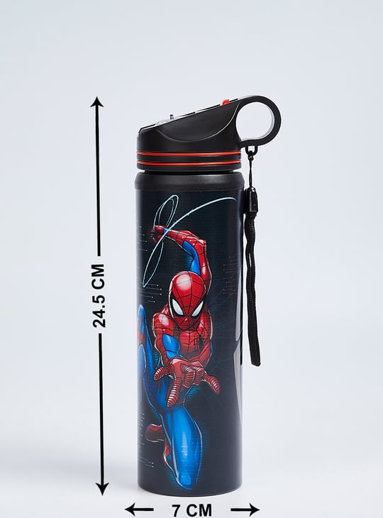 Kids Spider-Man Sipper Water Bottle