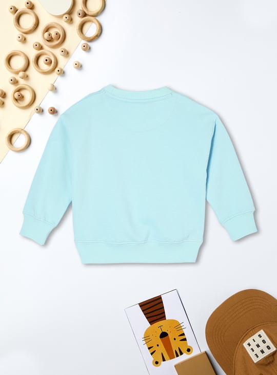 Boys Graphic Printed Sweatshirt
