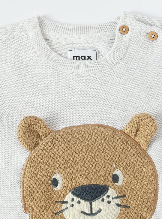 Boys Appliqued Sweater