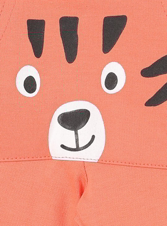 Boys Assorted Shorts - Pack of 2