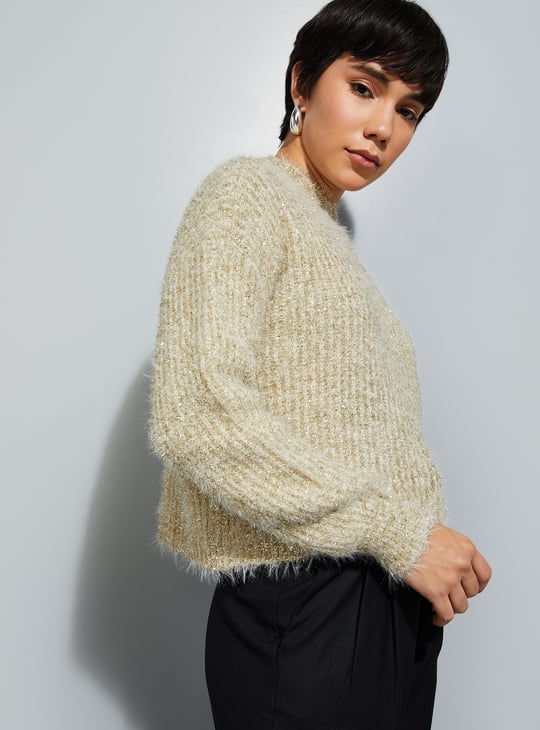 URB_N Women Shimmery Sweater