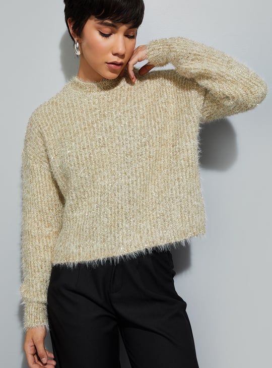 URB_N Women Shimmery Sweater