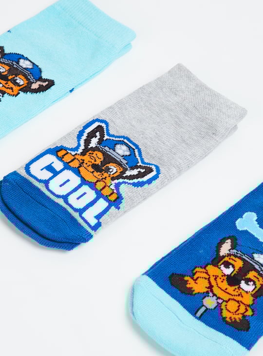 Boys Paw Patrol Ankle-length Socks - Pack of 3
