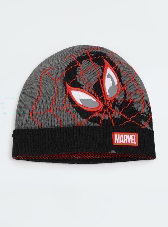 Boys Spiderman Beanie