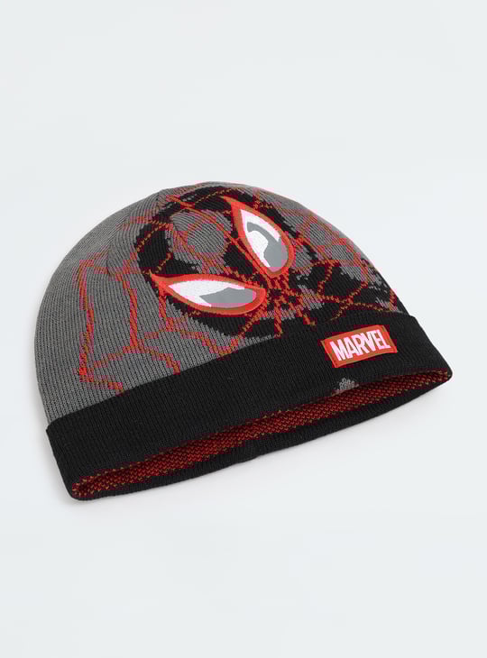 Boys Spiderman Beanie
