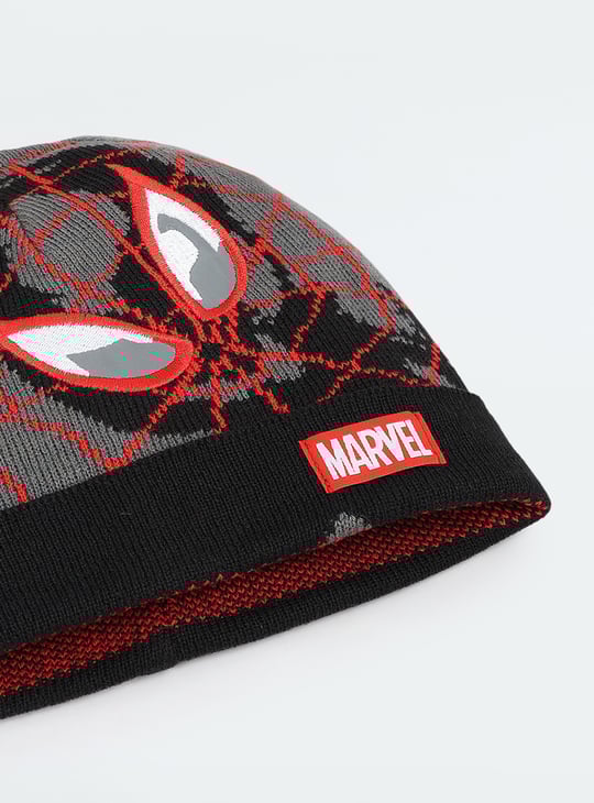 Boys Spiderman Beanie