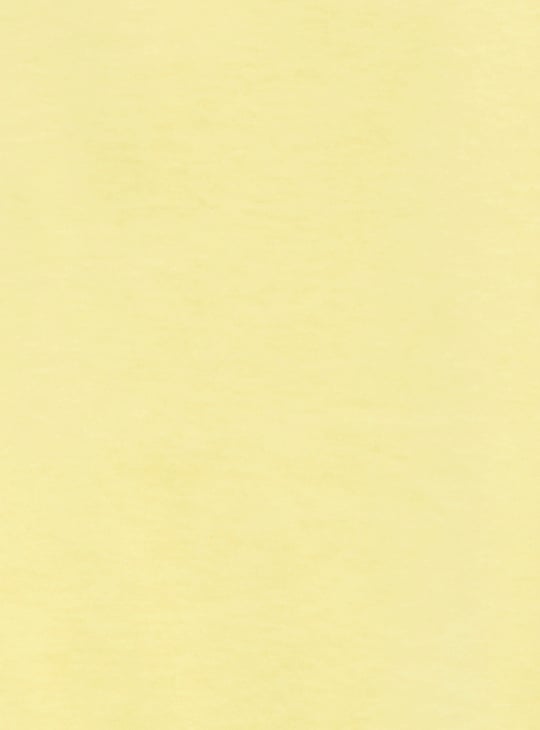 Women SpongeBob Print Shorts Set