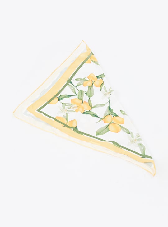 Women Assorted Scarves - Pack of 2