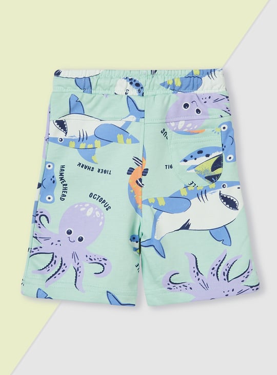 Boys Assorted Shorts - Pack of 2