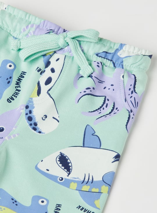 Boys Assorted Shorts - Pack of 2