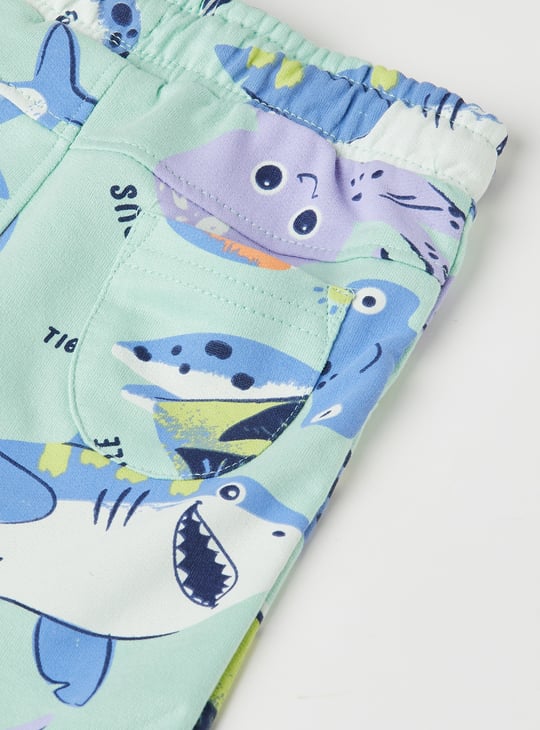 Boys Assorted Shorts - Pack of 2