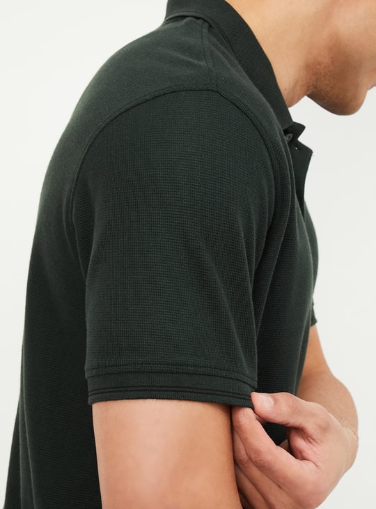 Men Textured Regular Fit Polo T-shirt