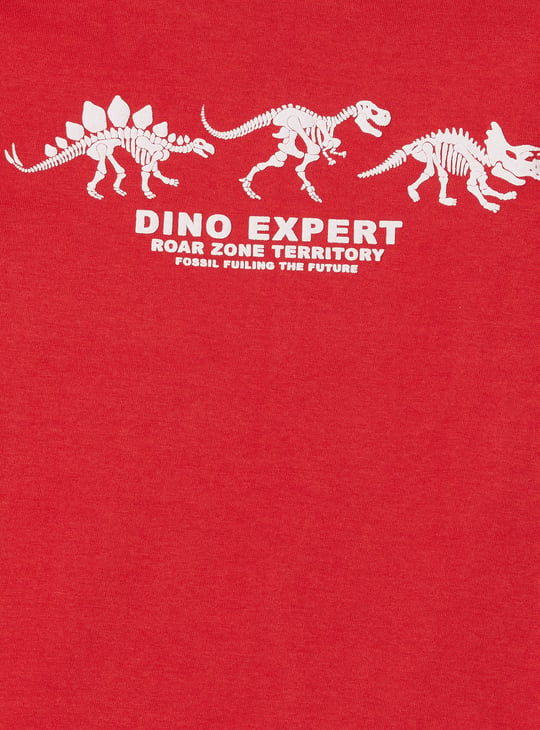 Boys Printed T-shirt