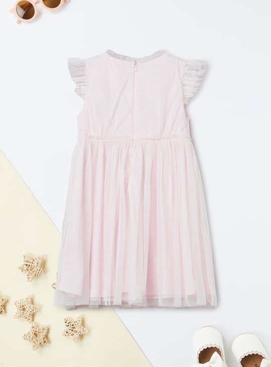 Girls Embellished Applique Tulle Dress
