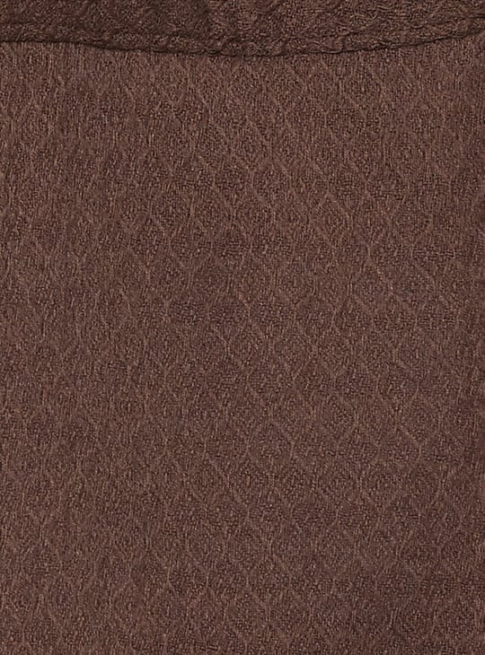 Women Textured Regular Fit Shirt